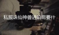 私服诛仙神兽进阶需要什么_